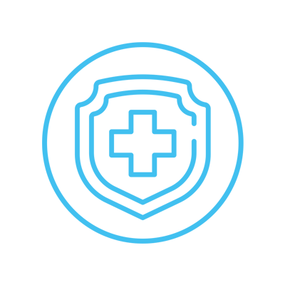 Icon of a shield