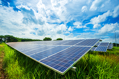 Photo of solar panels in a field