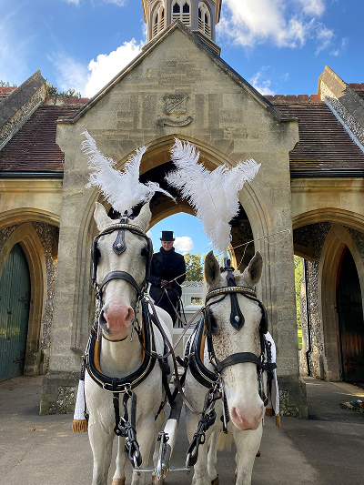 Horse drawn carriage