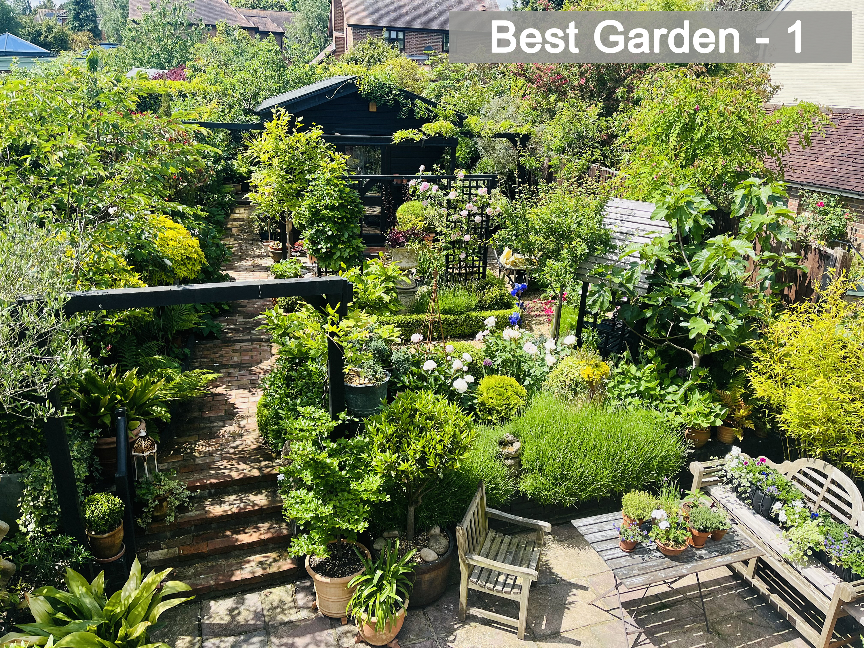 Best Garden - 1