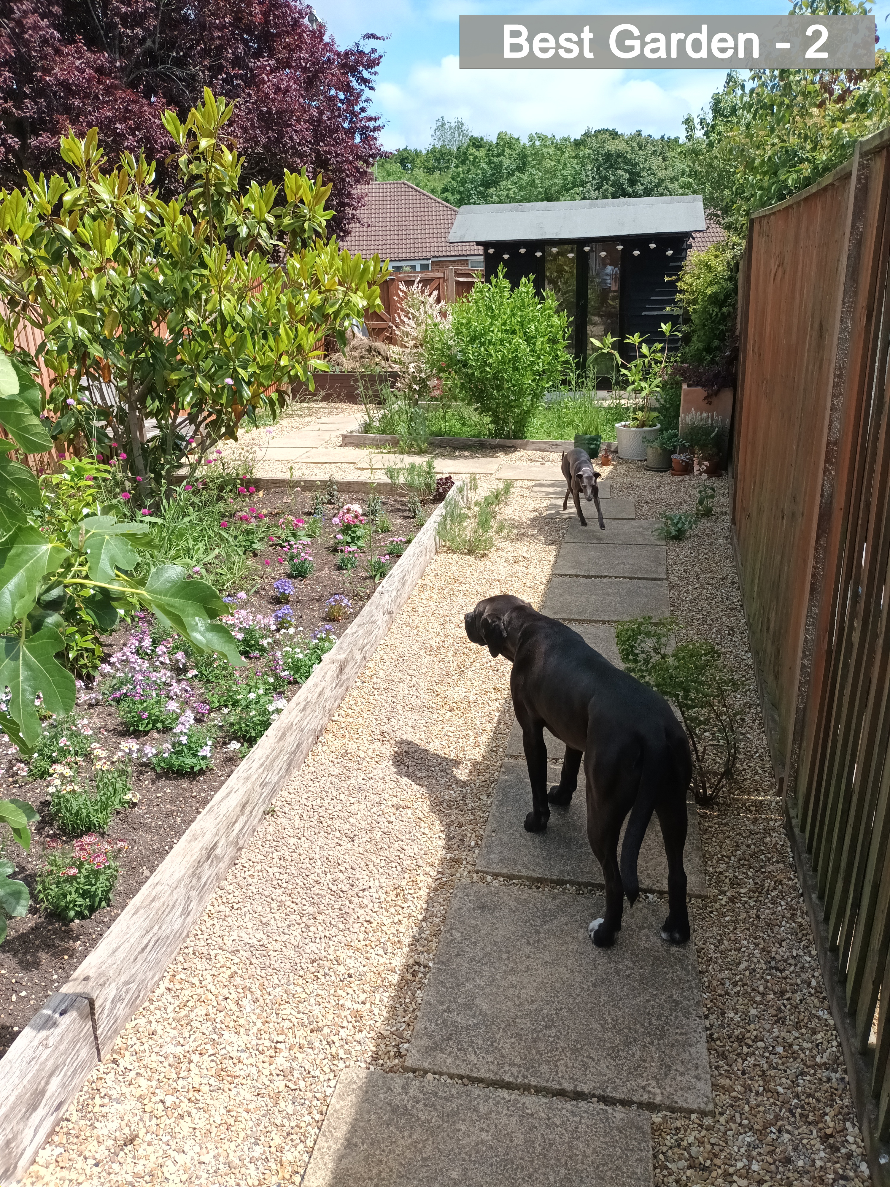 Best Garden - 2