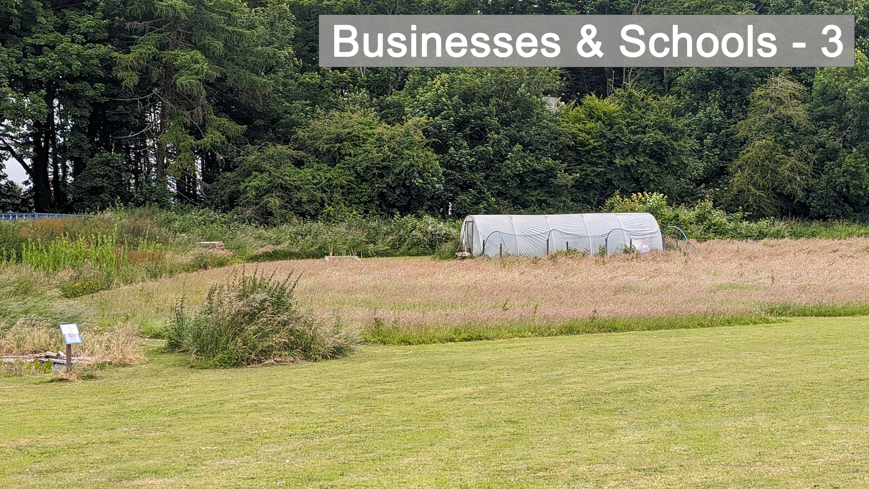 Businesses and schools - 3