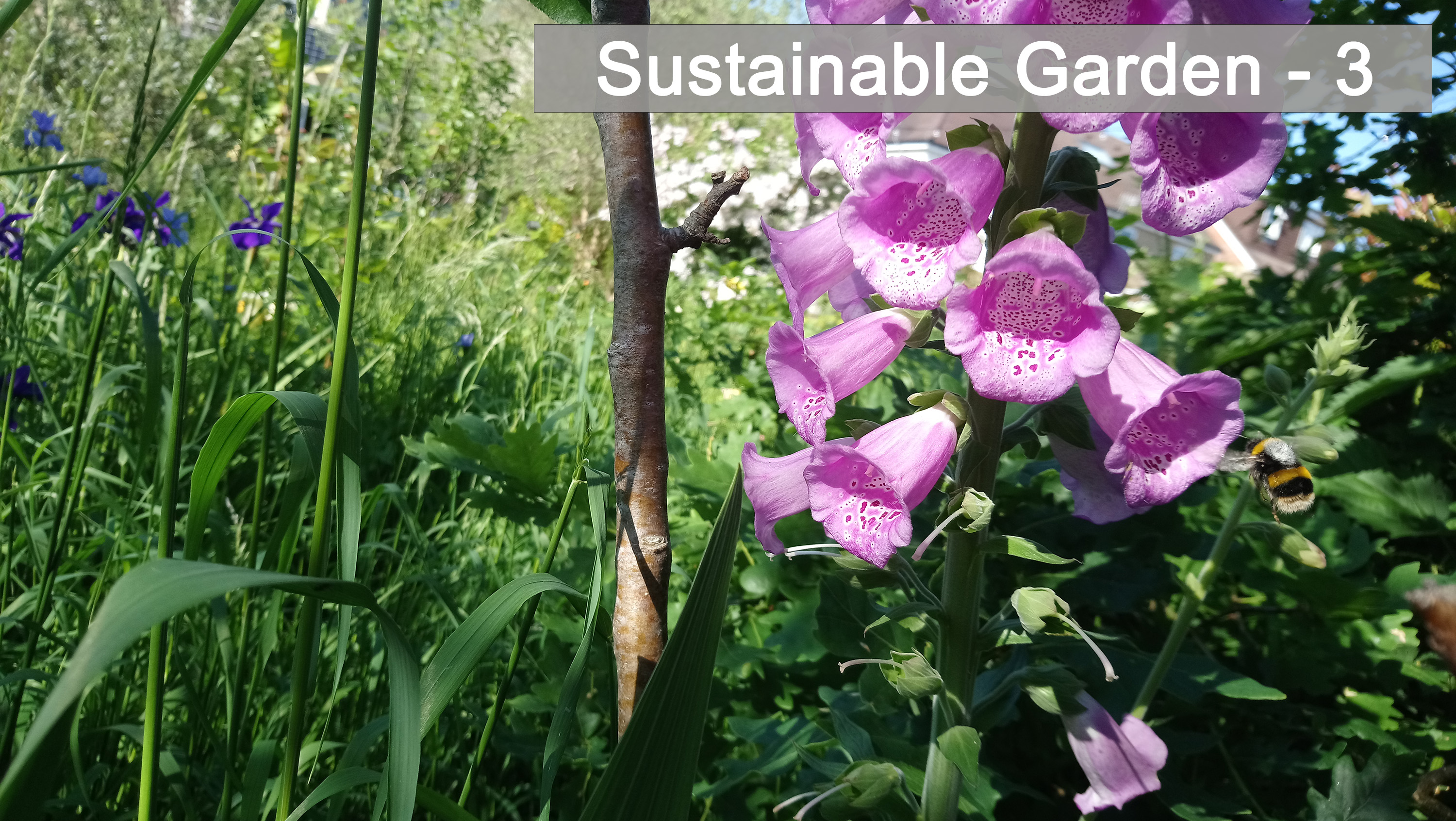Sustainable - 3