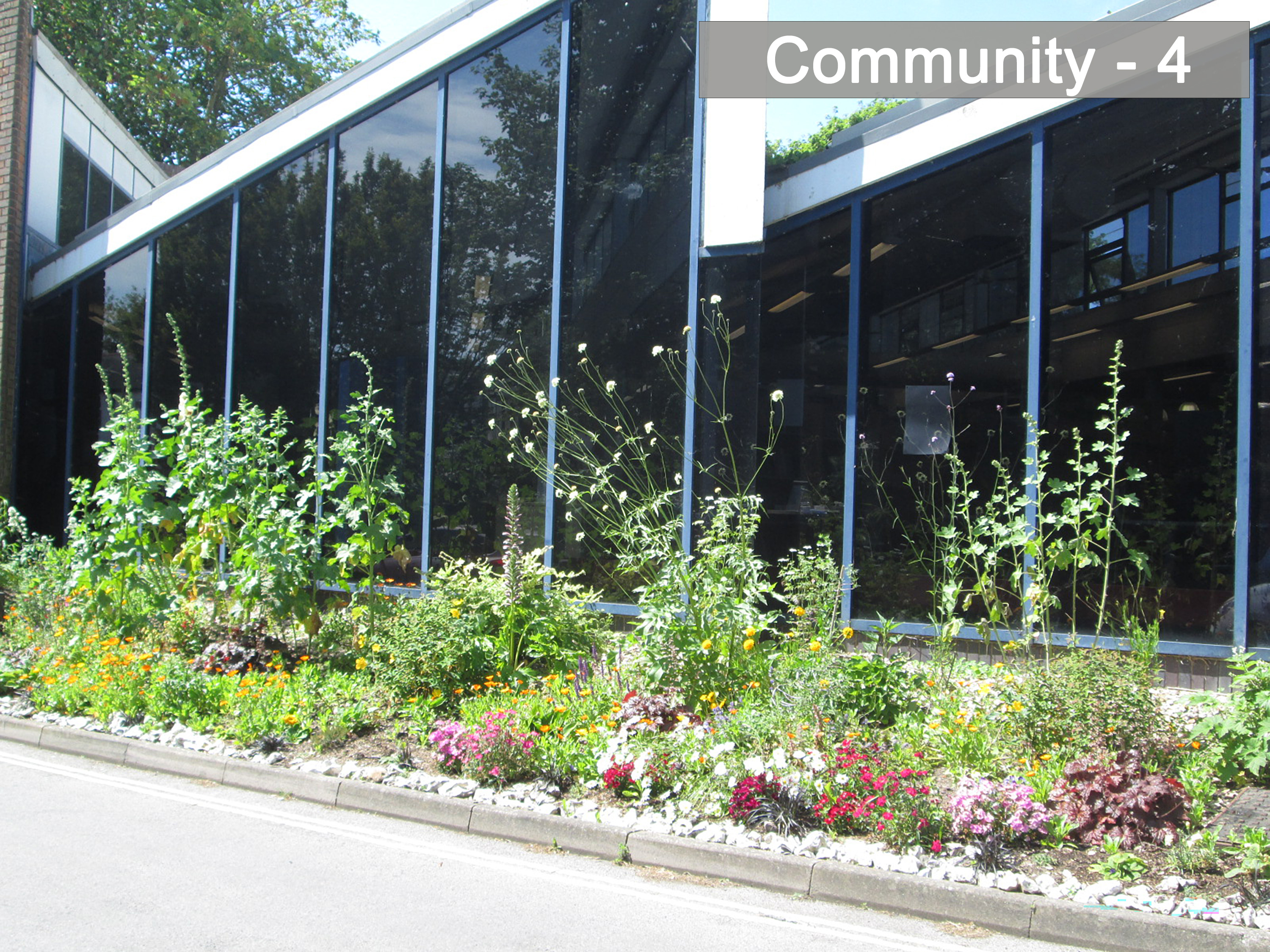 Community - 4