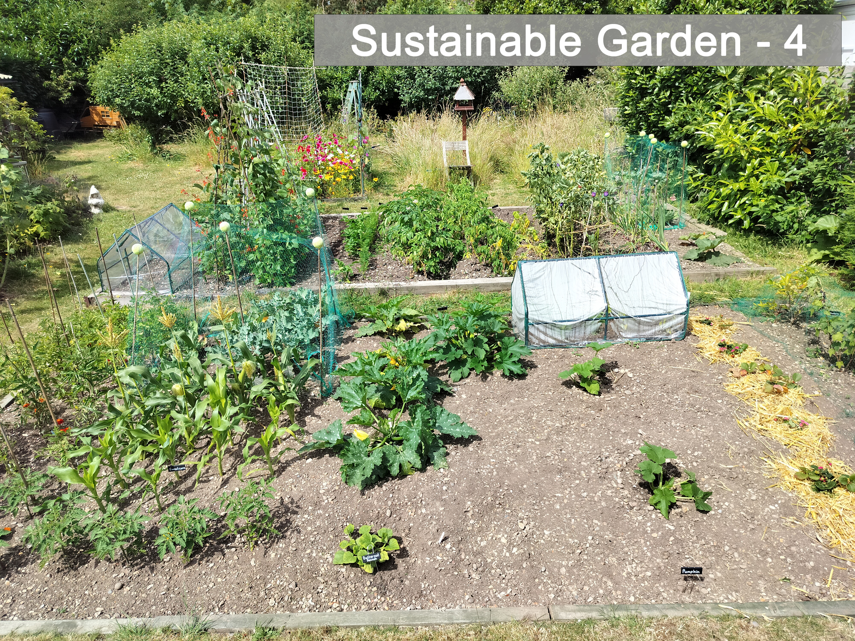 Sustainable - 4