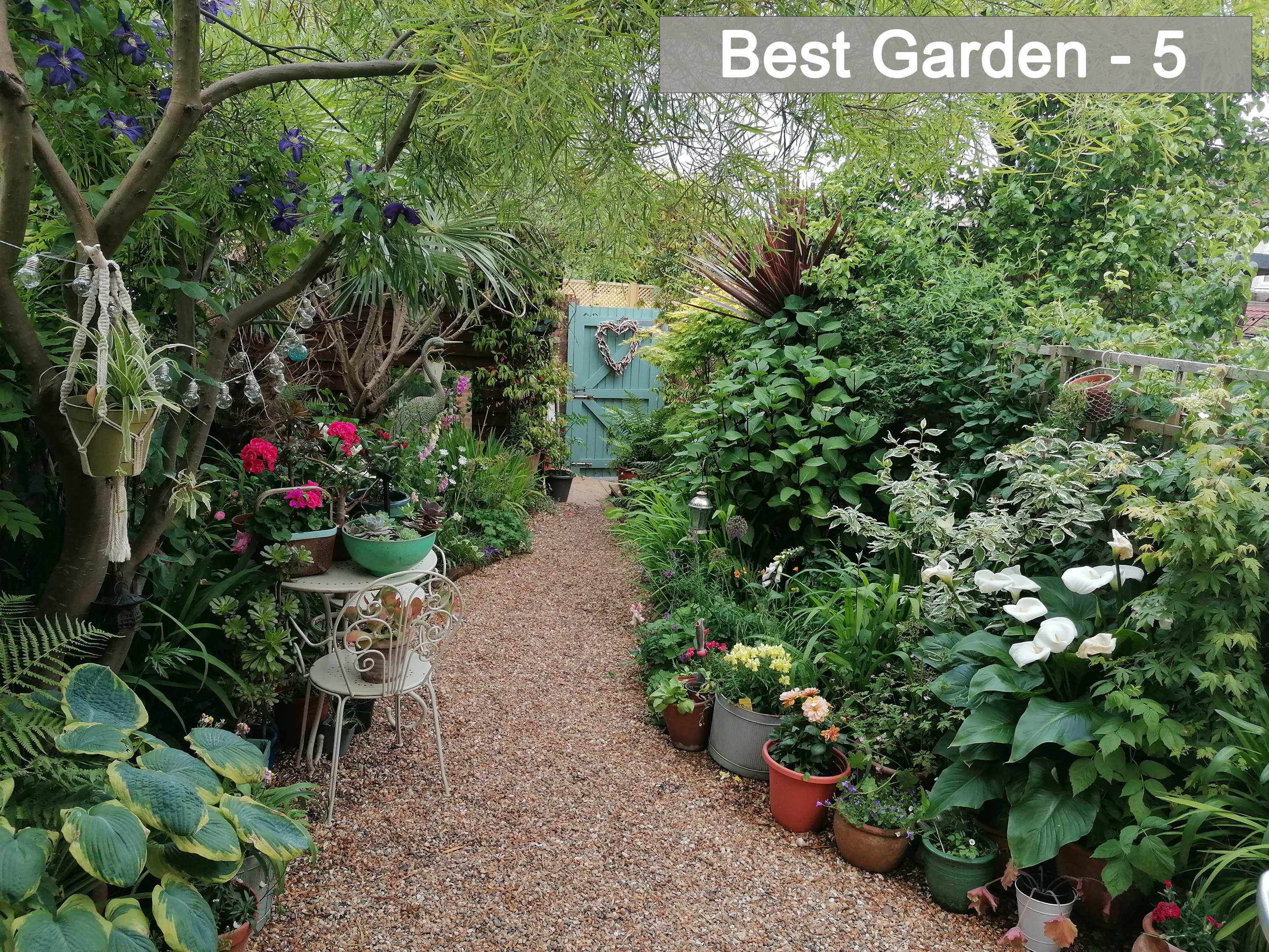 Best Garden - 5