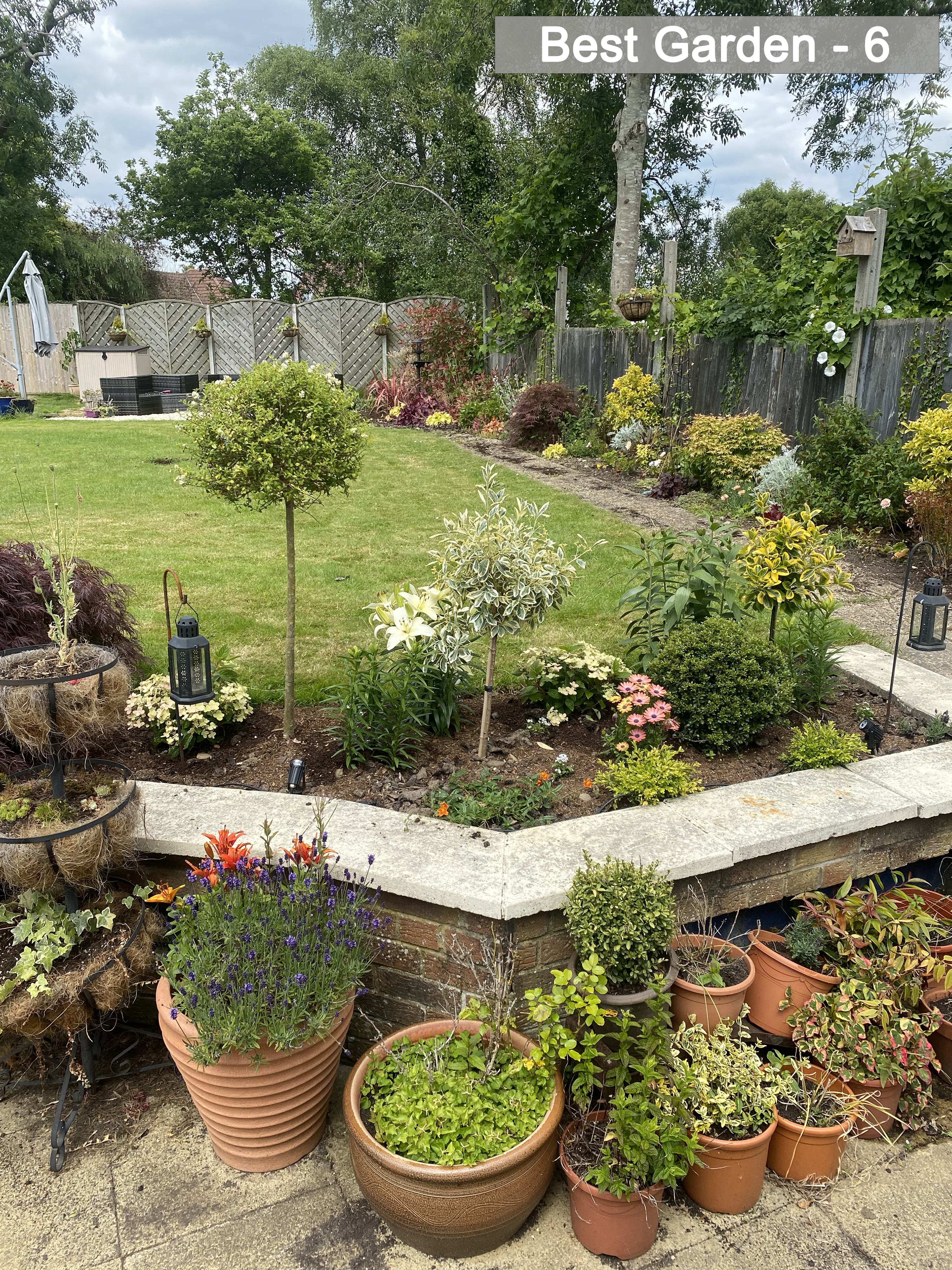 Best Garden - 6