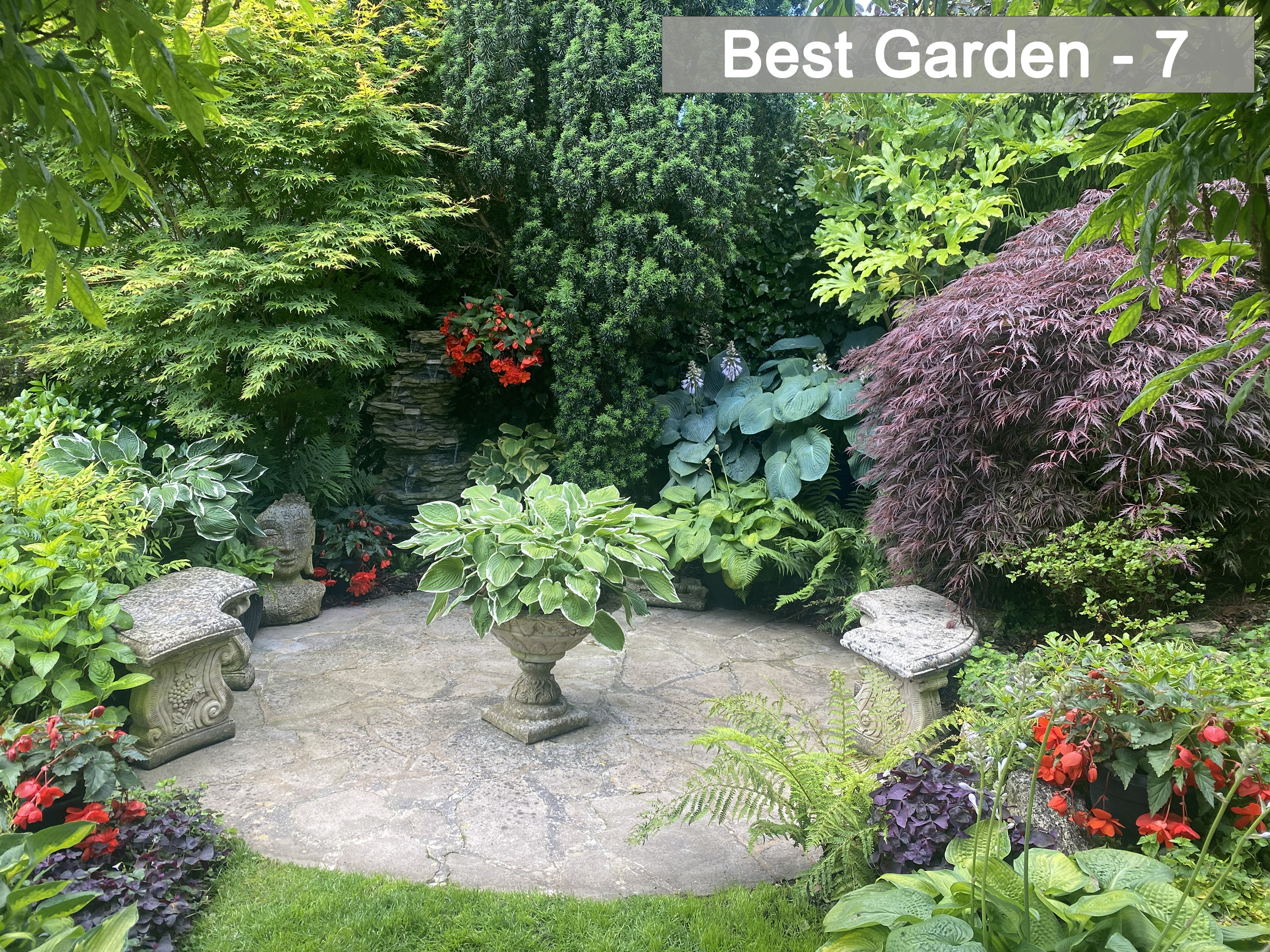 Best Garden - 7