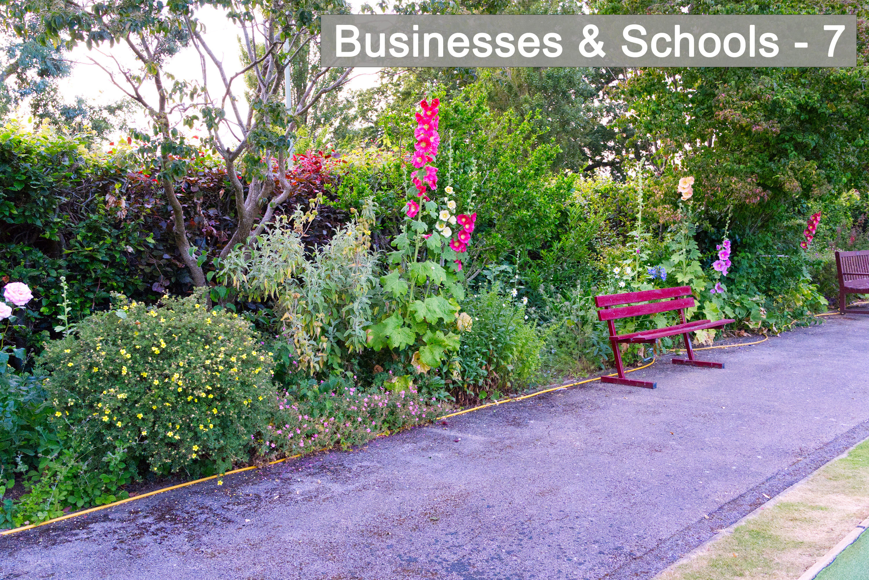 Businesses and schools - 7