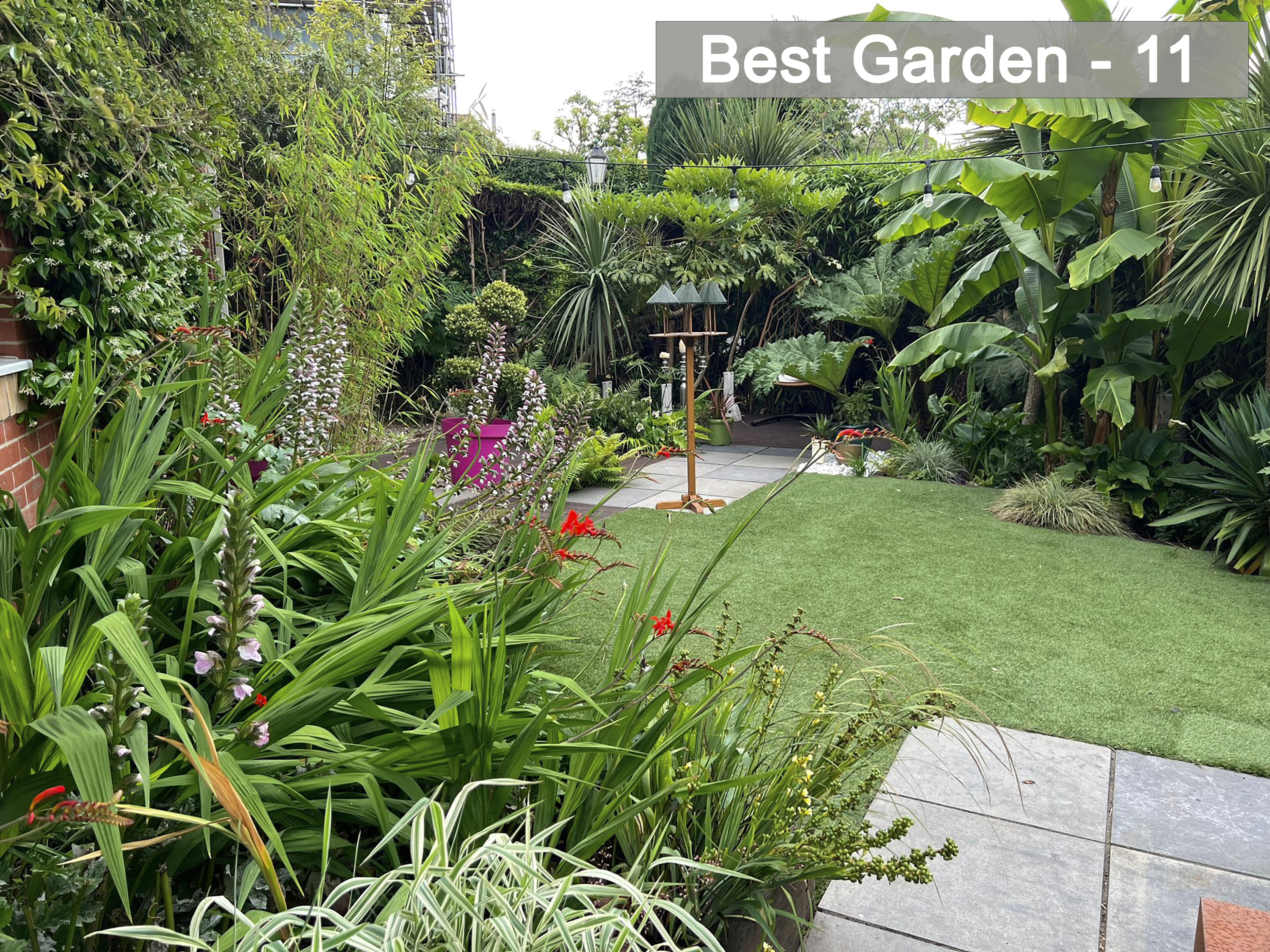 Best Garden - 11