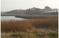 Photograph of Titchfield Haven