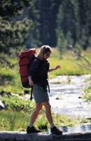 A picture of a Hiker crossing a log bridge