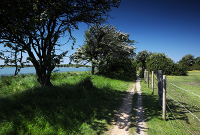 Sea line on a bright day with trees and footpath in Portchester