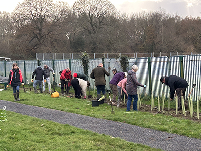 People planting trees in a park