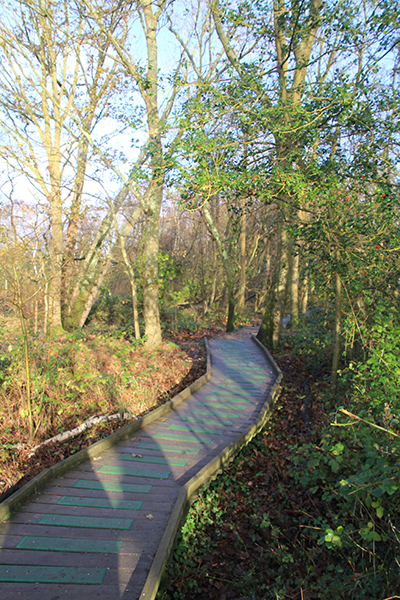 Wooden path way in Warsash