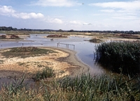 An image of Titchfield Haven