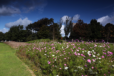 Stubbington's colourful flower bed next to grass field 
