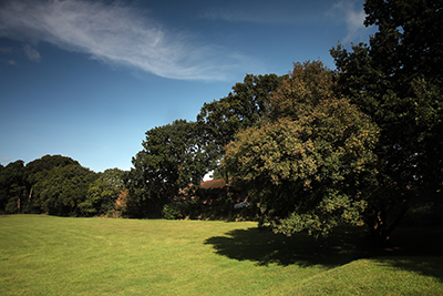 Grass field with trees in Locks Heath