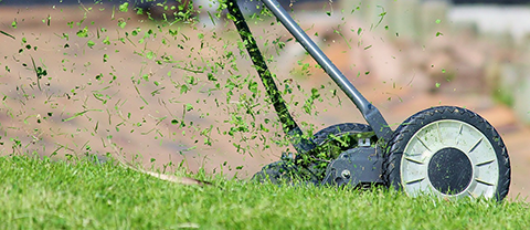 Lawnmower in action