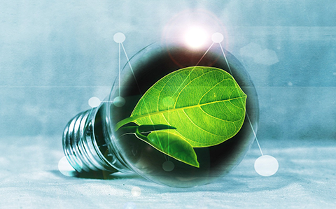 Green leaf in lightbulb graphic