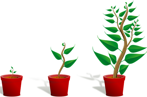 Cartoon images of saplings growing