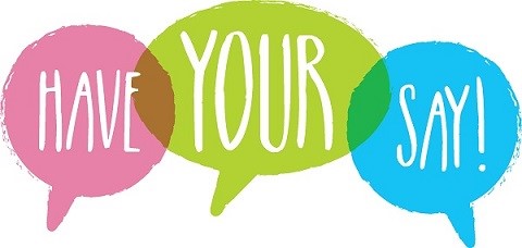 Have Your Say colourful logo