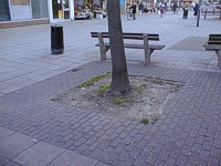 An image of a tree trunk in a square of earth surrounded by paving with a bench and a bin behind the tree and shop fronts in the background.