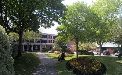 Trees either side of a path in Fareham centre