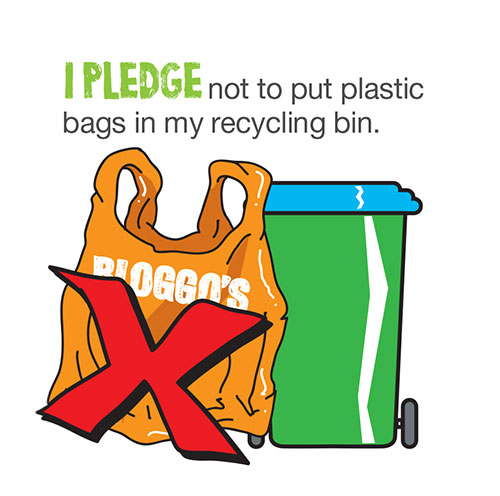 I pledge not to put plastic bags in my recycling