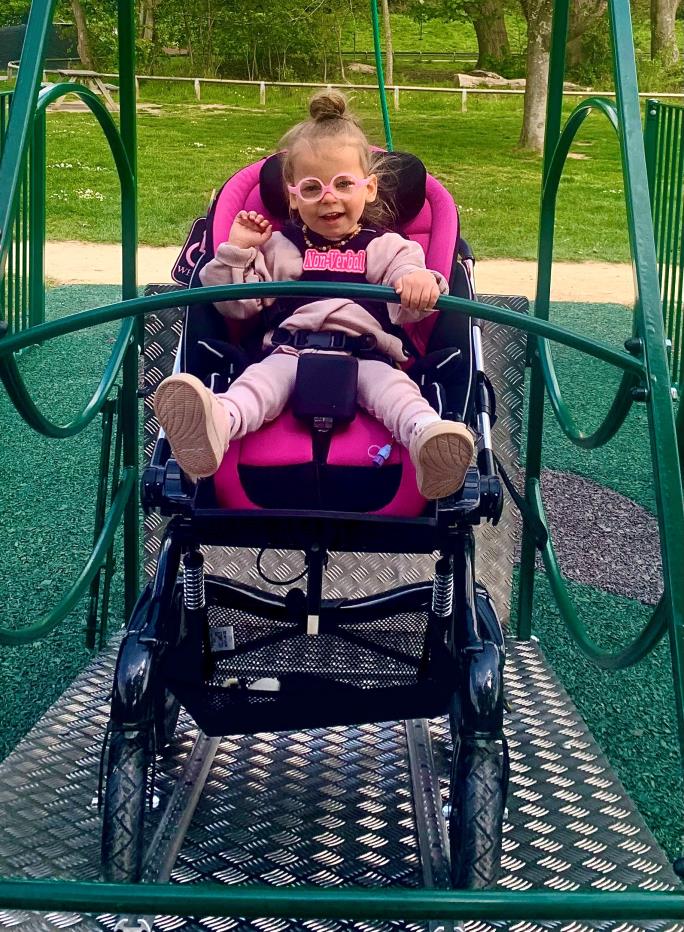 Wheelchair Swing - DORIS