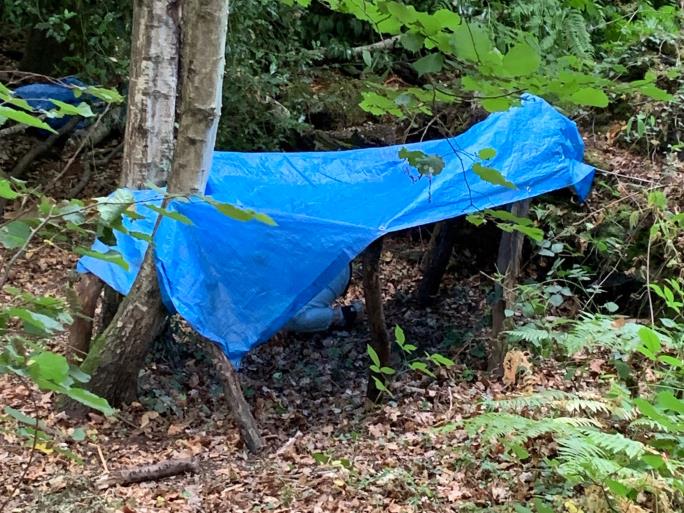 Photo of tarpaulin shelter in the woods
