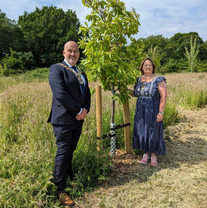 Copse opening