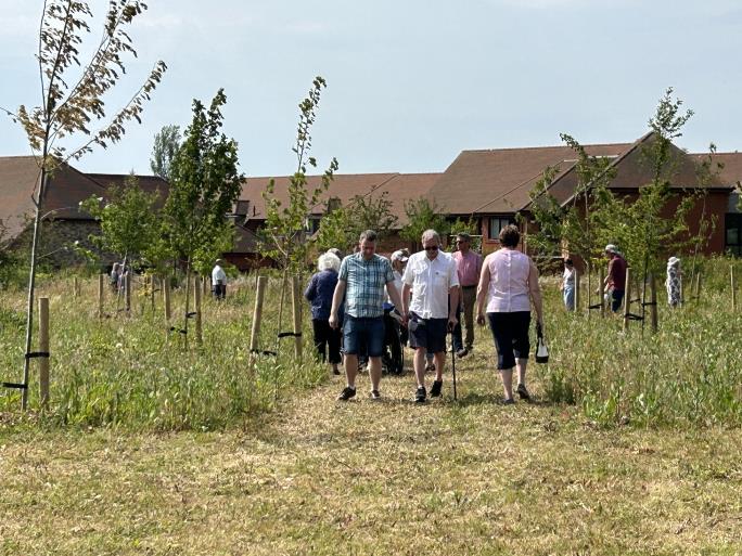 Copse opening