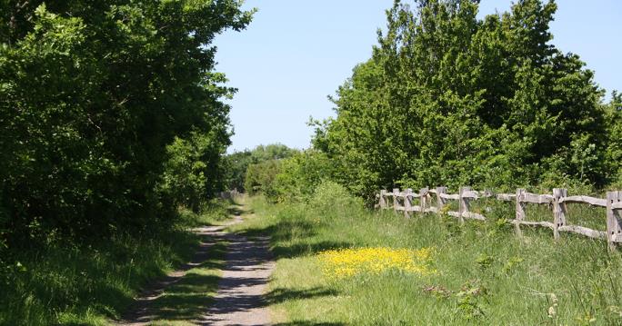 Abbey Meadows