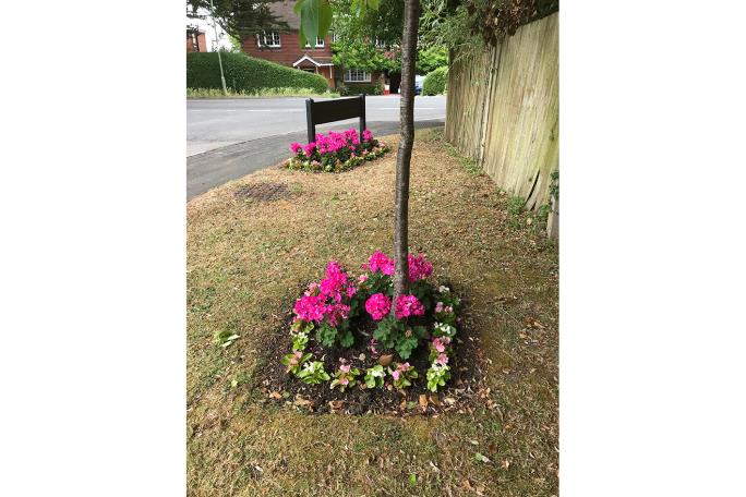 Community Floral Display