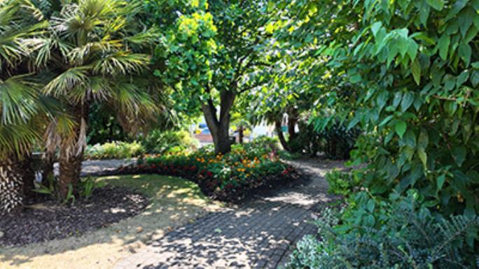 Sensory Garden