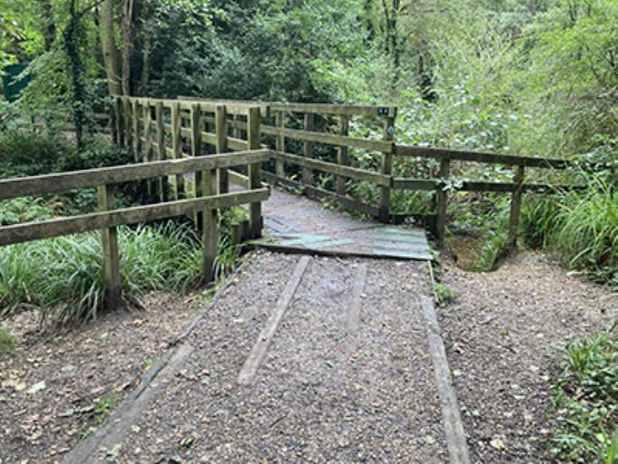 Warsash Common