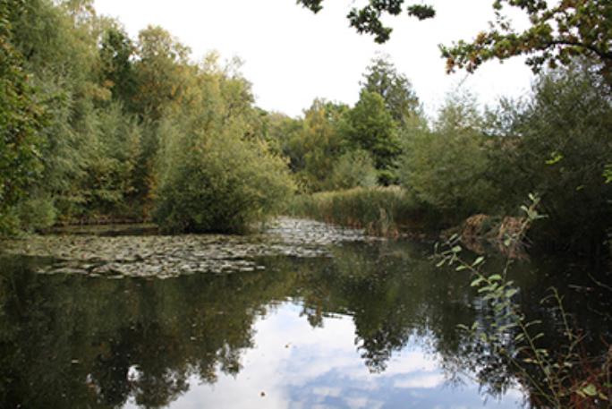 Coldeast Conservation Area