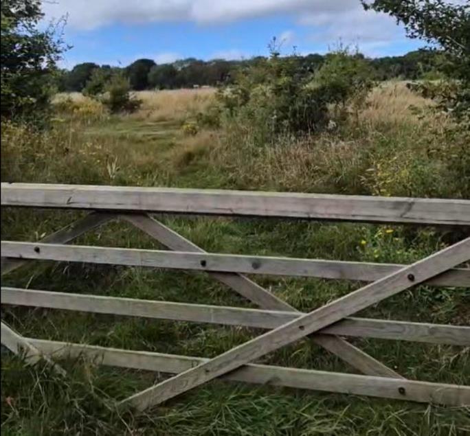 Abbey Meadows