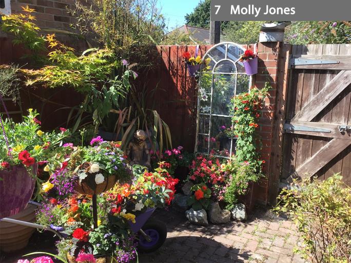 7 Molly Jones