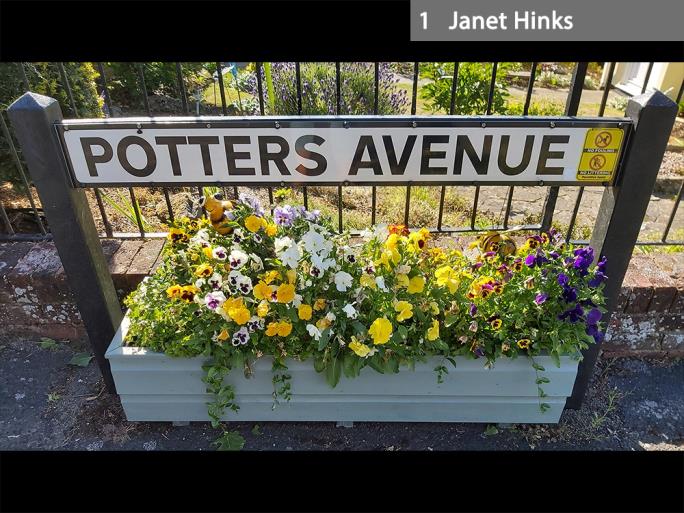 1 Janet Hinks