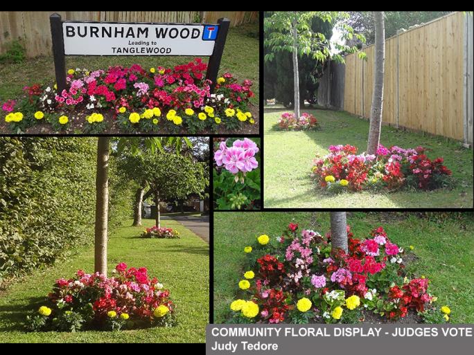 Community floral display judges vote Judy Tedore