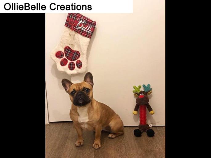 Olliebelle Creations