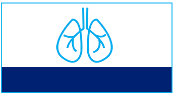 Health And Air Quality