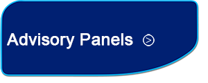 Scrutiny Panel