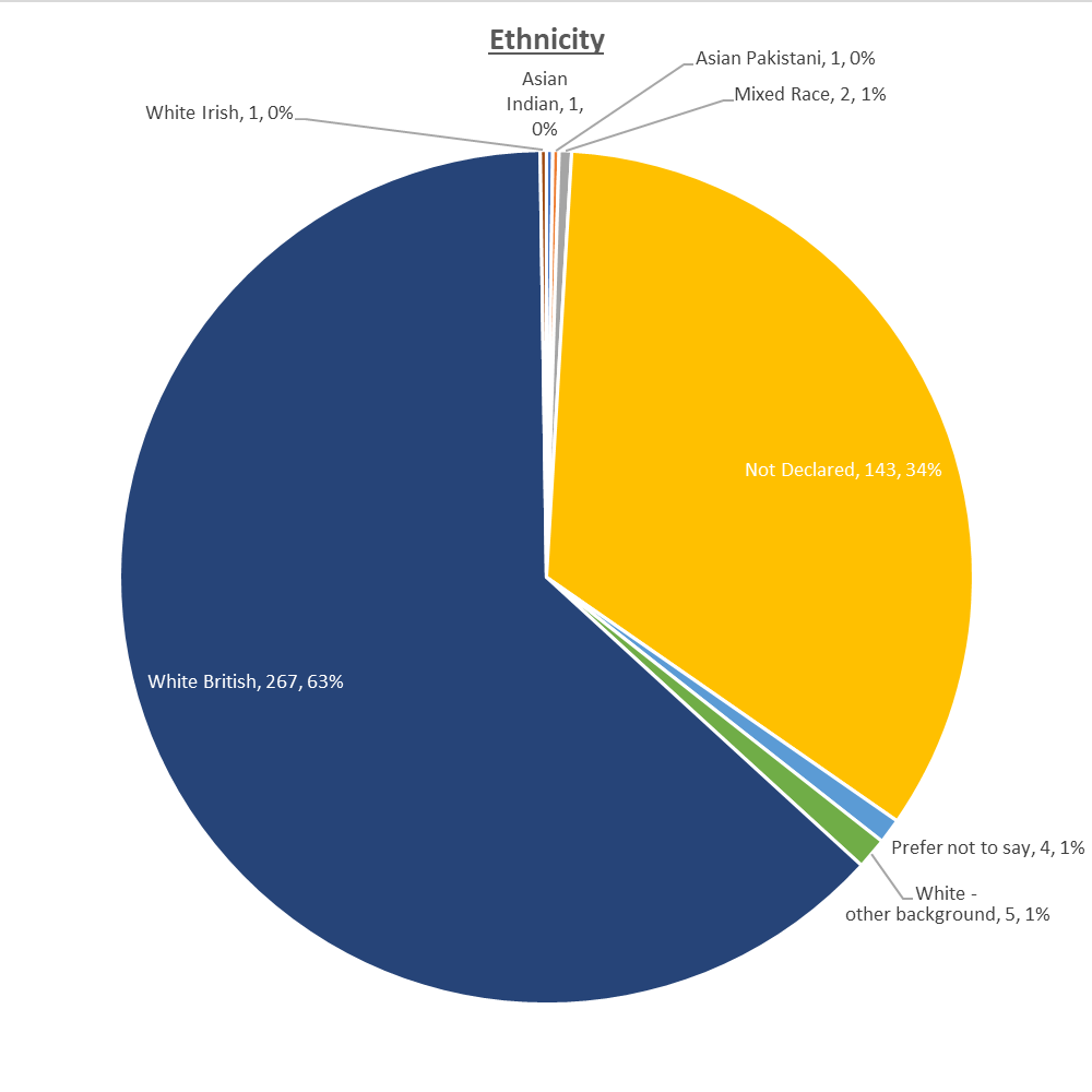 Ethnicity, White British 267, Not Declared 143, White other 5, Prefer not to say 4, Asian Pakistani 1, Mixed Race 2, White Irish 1, Asian Indian 1, 