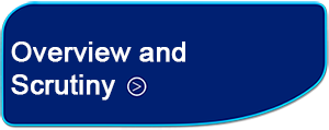 Overview and Scrutiny