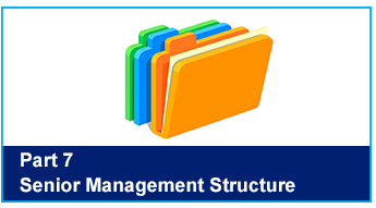 Senior Management Structure