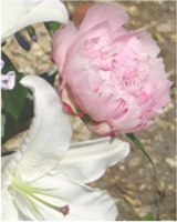 An image of some flowers on a memorial