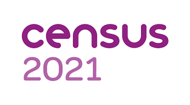 Census 2021 logo